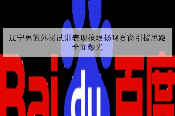 辽宁男篮外援试训表现抢眼杨鸣夏窗引援思路全面曝光